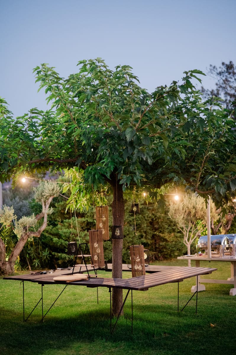 Ktima Aethales  portfolio